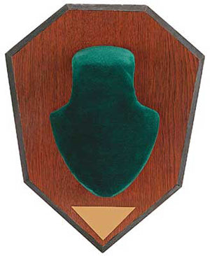 Allen Antler Mount Kit Green