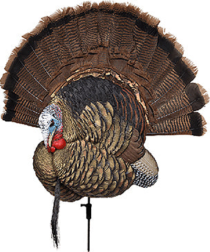 Avian X Decoys Trophy Tom Turkey Decoy W/Mounting Stake
