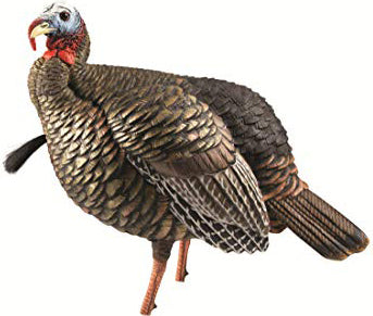 Avian X Decoys Jake Turkey Decoy Hdr