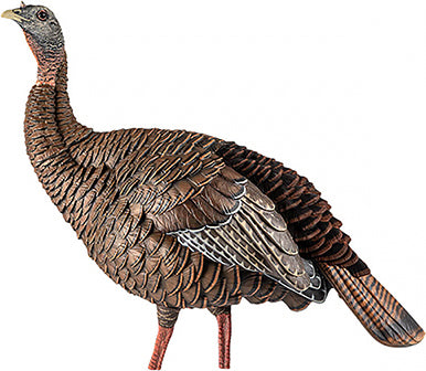 Avian X Decoys Hen Turkey Decoy Hdr
