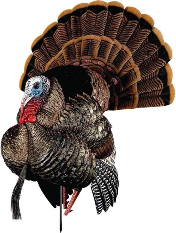Avian X Decoys Strutter Turkey Decoy Hdr