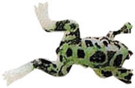 Burke Baby Fly Rod Frog 1.5In Green