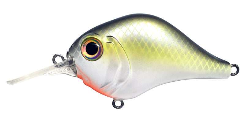 Bill Lewis MR-6 Crankbait