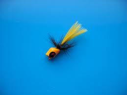 Betts Fat Gnat Popper Sz12 Yellow