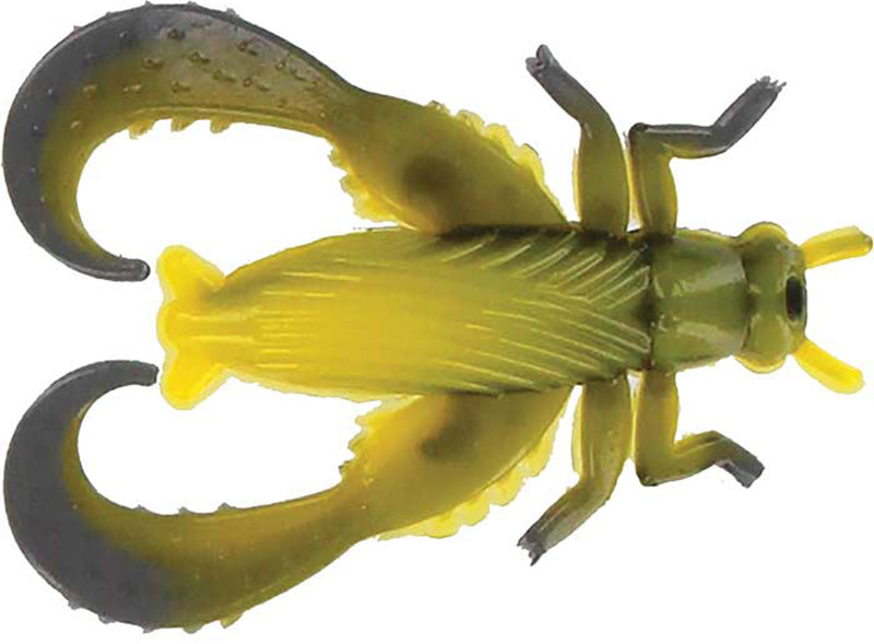 Big Bite Cricket 1.25In 10Pk Bumble Bee S