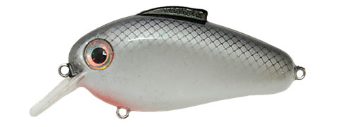 Bill Lewis Echo 1.75 Crankbait 2.5In 1/2Oz Fishing Lure