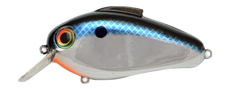 Bill Lewis Echo 1.75 Crankbait 2.5In 1/2Oz Fishing Lure