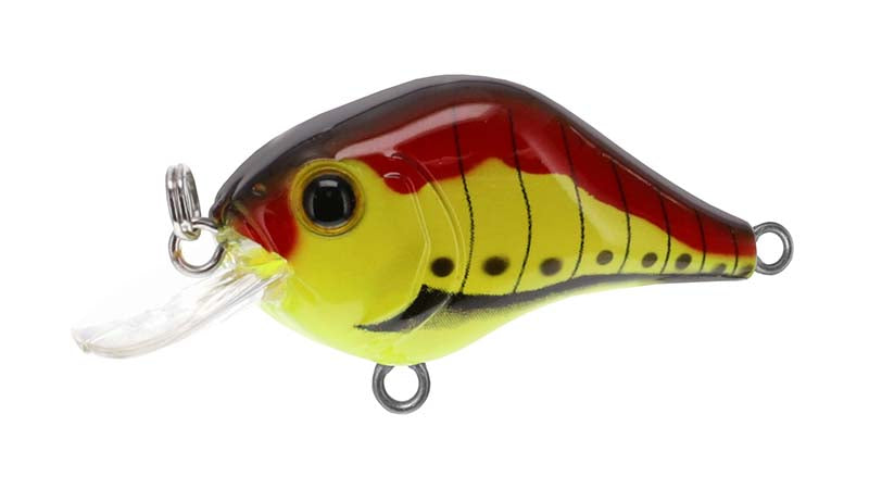 Bill Lewis Gnat Tiny Crankbait