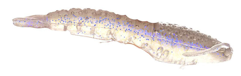 Berkley Gulp Translucent Shrimp 3In 6Bg Starry Night