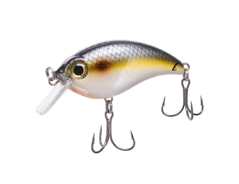 Bill Lewis ATV Crankbait