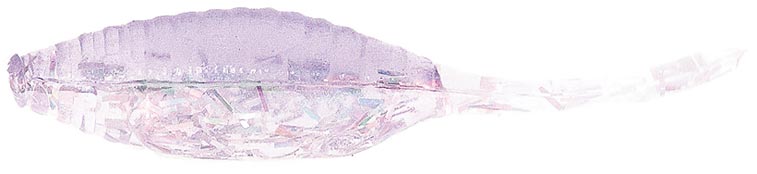 Bass Assassin Tiny Shad 1.5In 15Bg Opening Night