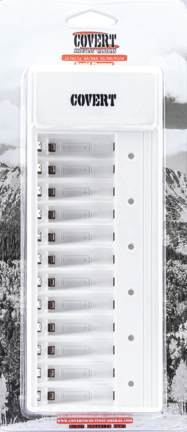 Covert Battery Charger 12Aa