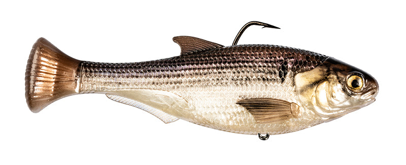 Z-Man Shadtron LT 4.5"