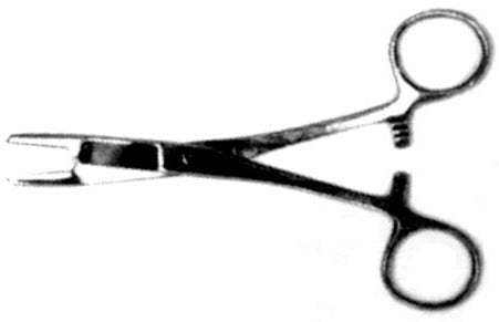 Eagle Claw Surgical Pliers 6In W/Scissors
