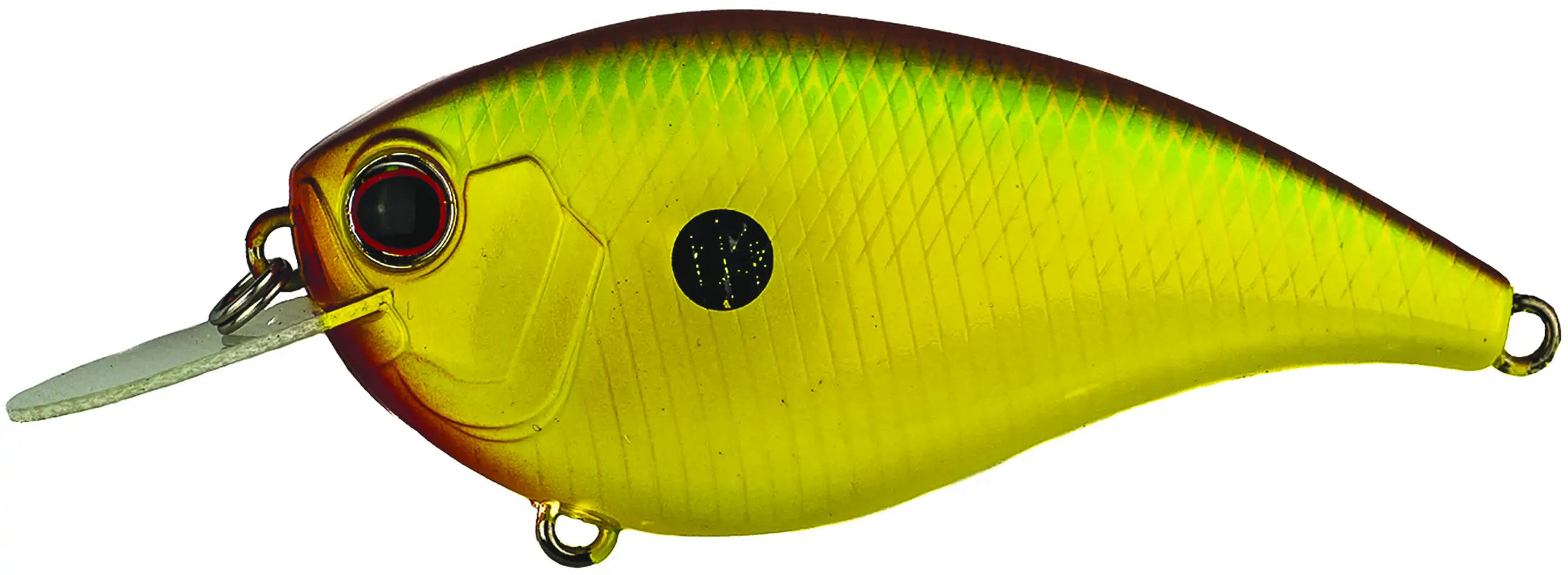 Evergreen Cr Crankbait 2.4In 3/7Oz