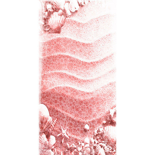 Flying Fisherman Sunbandit Sea Shells