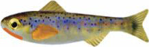 Keystone Minnow 1/Jh 1/16Oz 6Pk Brown Trout