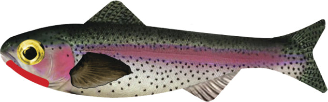 Keystone Minnow 1/Jh 1/16Oz 6Pk Rainbow Trout
