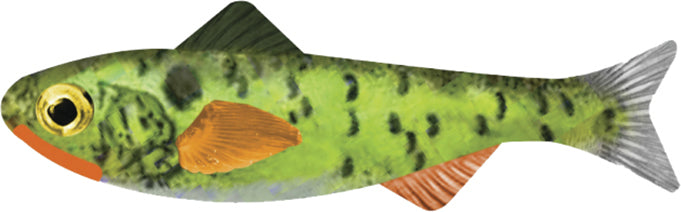 Keystone Minnow 1/Jh 1/16Oz 6Pk Shad