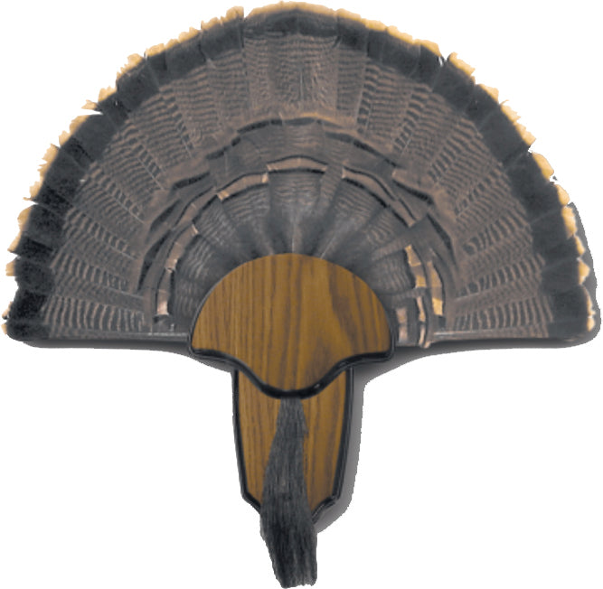 Hunters Specialties Turkey Mount Kit Tail/Beard