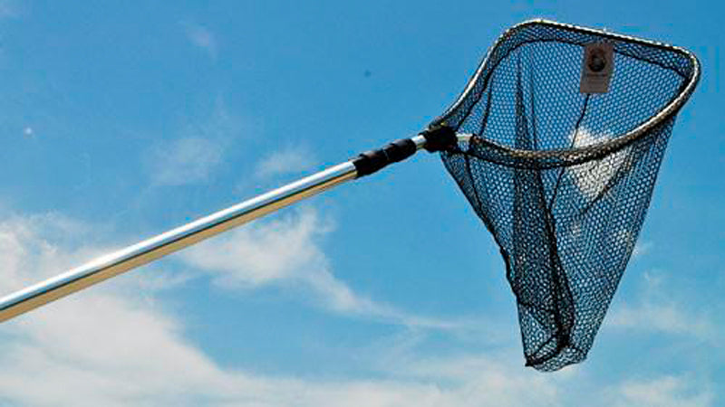 Lee Fisher Alum Tele Scoop Net 20X20In 6.5-18Ft Hndl