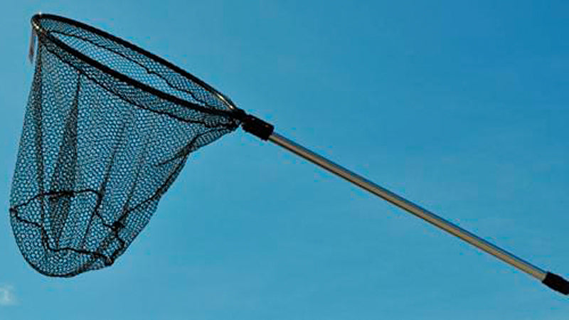 Lee Fisher Alum Tele Scoop Net 20X20In 36-60In Hndl