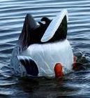 Mojo Butt-Up Waterfowl Decoy Rippler