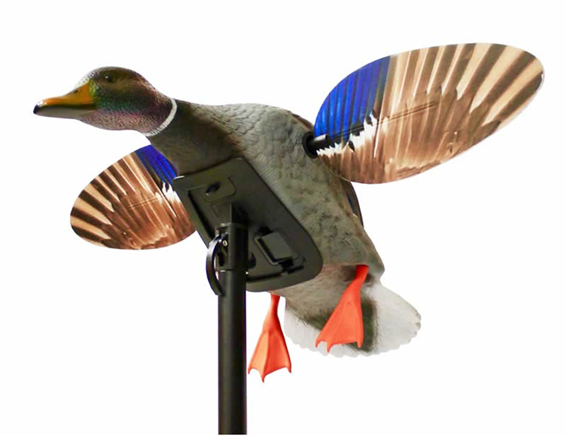 Mojo Mini Mallard Decoy Elite Drake W/3P