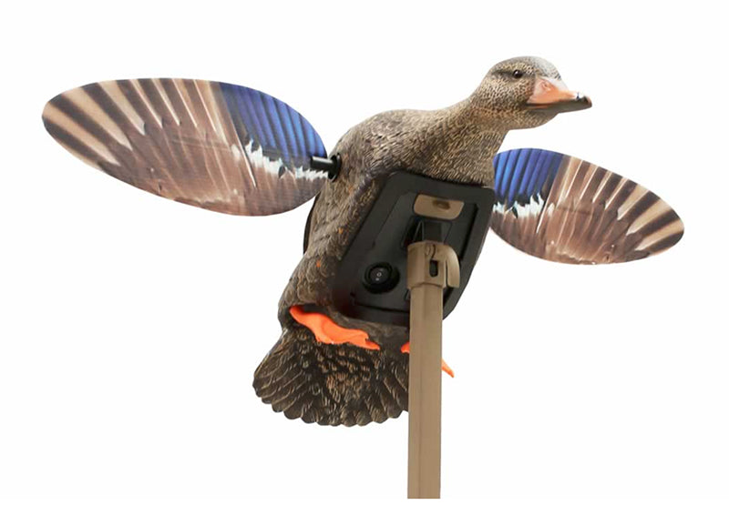 Mojo Mini Mallard Decoy Elite Hen W/3P