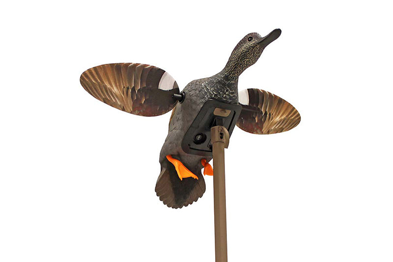 Mojo Gadwall Decoy Elite Series