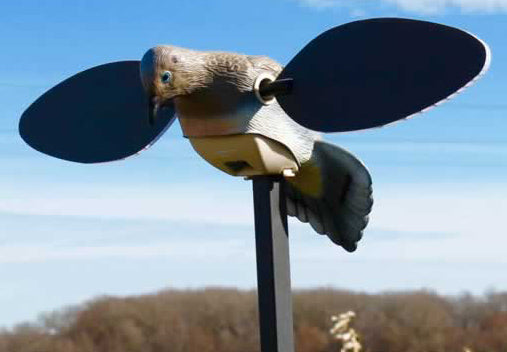 Mojo Es Dove Decoy 4Aa