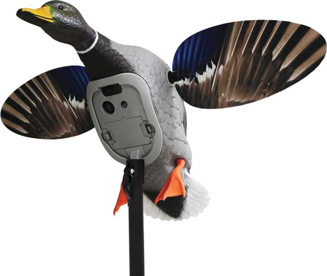 Mojo King Mallard Decoy Elite Drake
