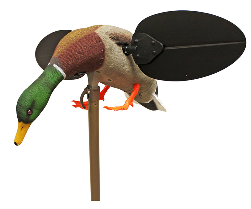Mojo Mallard Decoy Drake