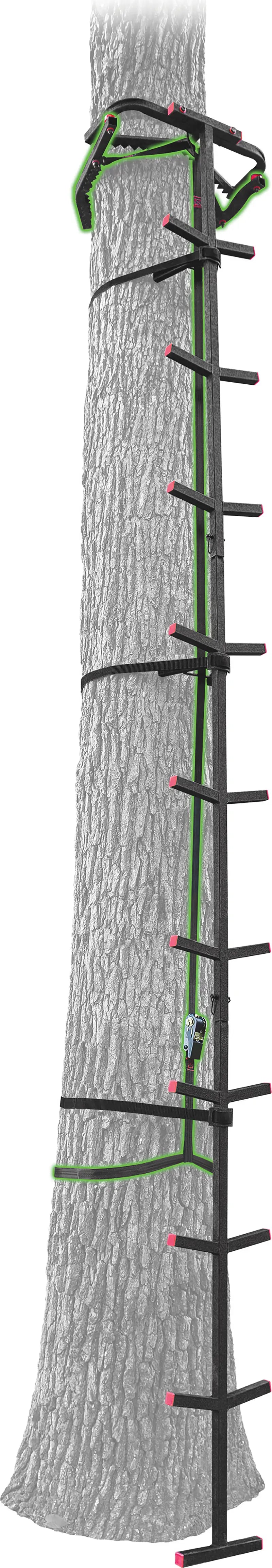 Ol' Man Outdoors Climbing Stick