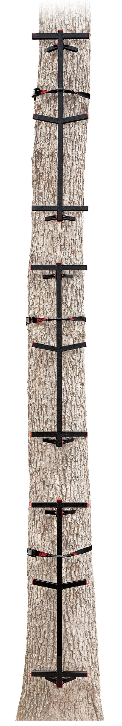 Primal Fast Stick Steel 3Pc