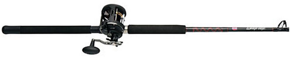 Penn Warfare Levelwind Combo Conv 20-50# 6Ft 6In 1Pc