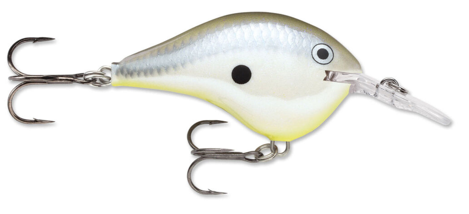 Rapala DT6 Crankbait  -3/8 oz