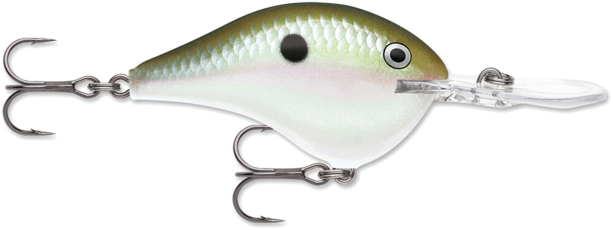 Rapala DT6 Crankbait  -3/8 oz