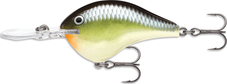 Rapala DT Crankbait 8ft - 36/8 oz