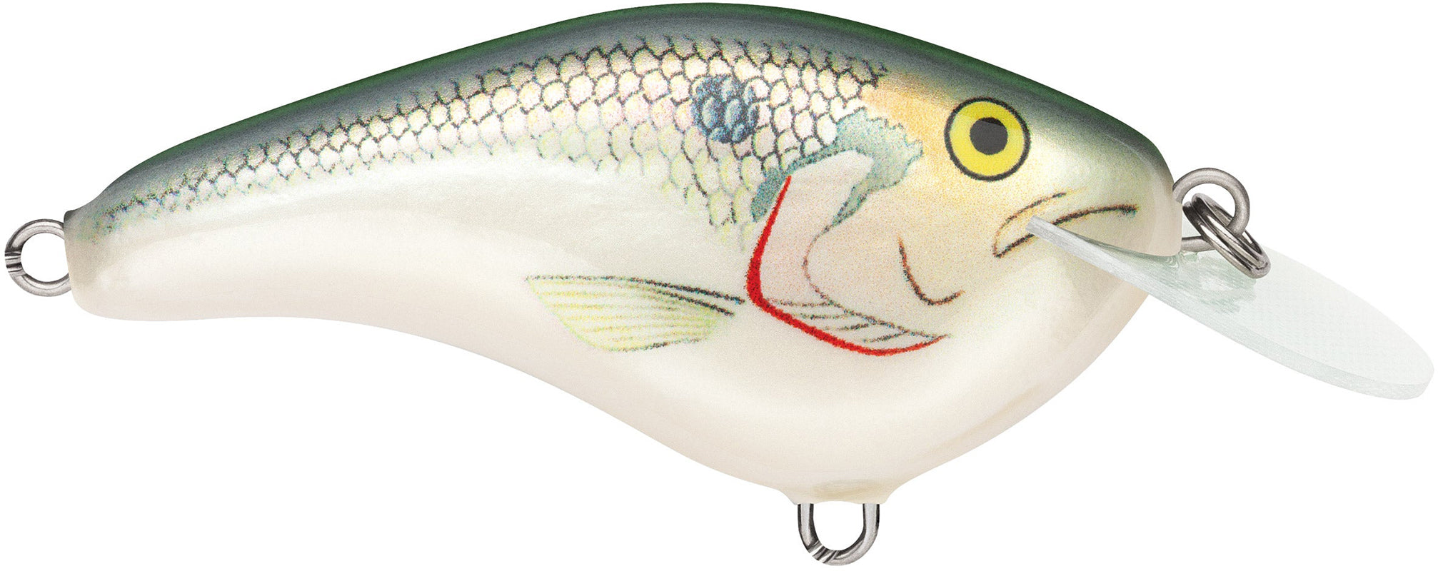 Rapala OG Slim 6 Crankbait - 1/2 oz