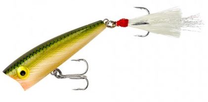 Rebel Lures Pop R - 1/4 oz