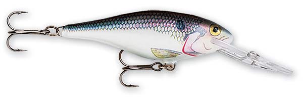 Rapala Shad Rap Crankbait - 5/16 oz