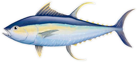 Salty Bones Profile Fish Sticker 4.5X16In Yellowfin Tuna