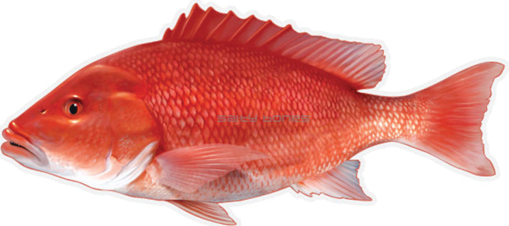 Salty Bones Profile Fish Sticker 4.5X16In Red Snapper