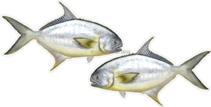 Salty Bones Profile Fish Sticker 4.5X16In Pompano