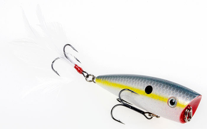 Strike King Kvd Splash Popper 3In 1/2Oz Sexy Shad