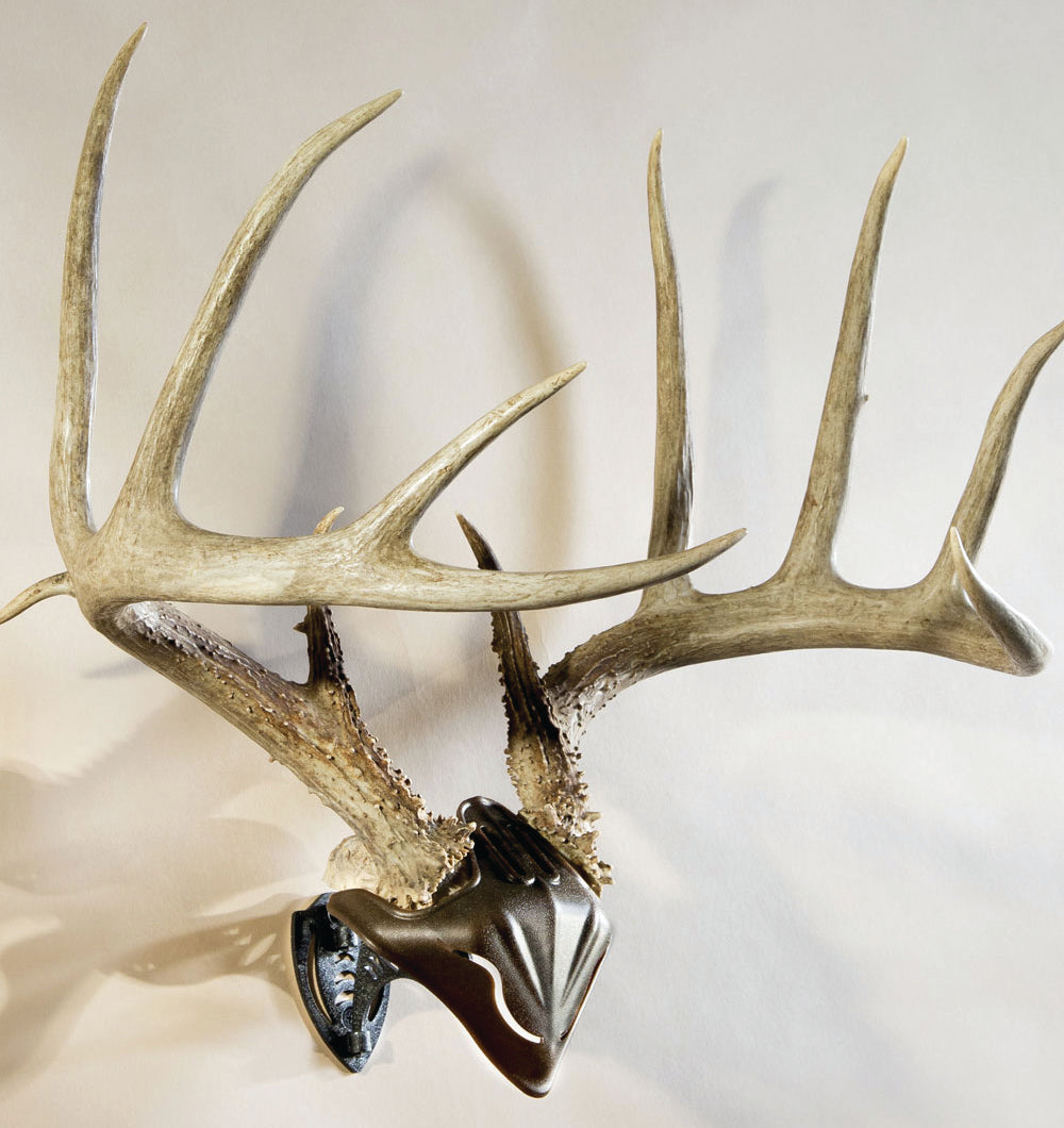 Skull Hooker Combo Hooker Wall Mount Bone Bracket/Skull Cap