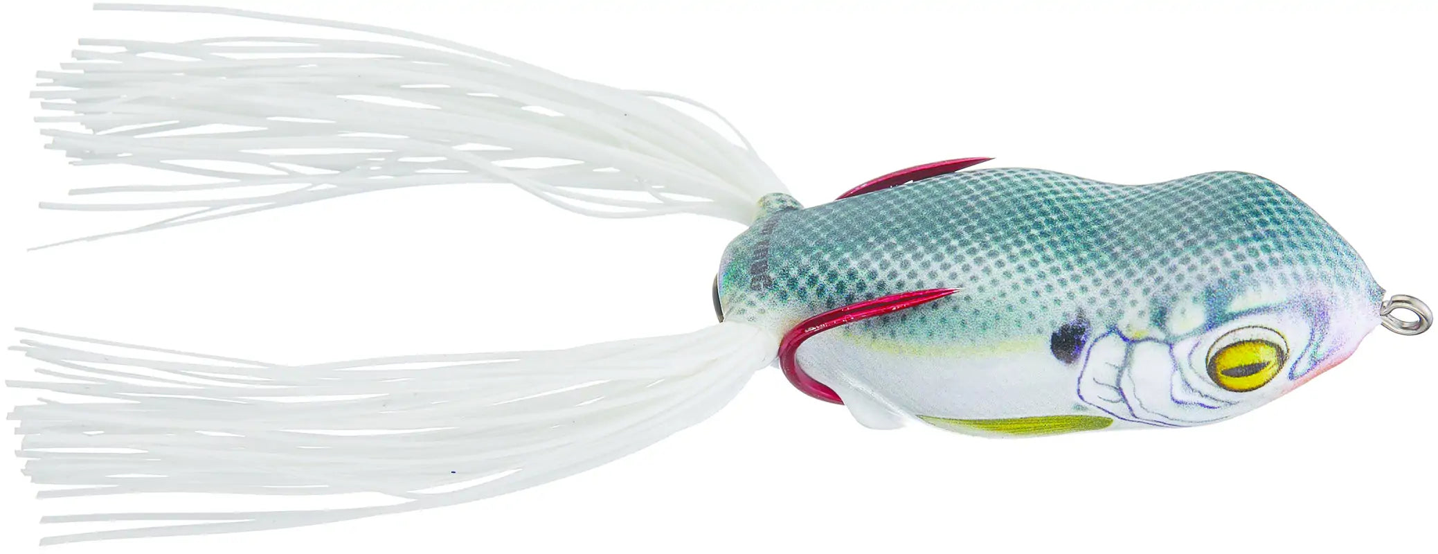 Scumfrog Launch Frog