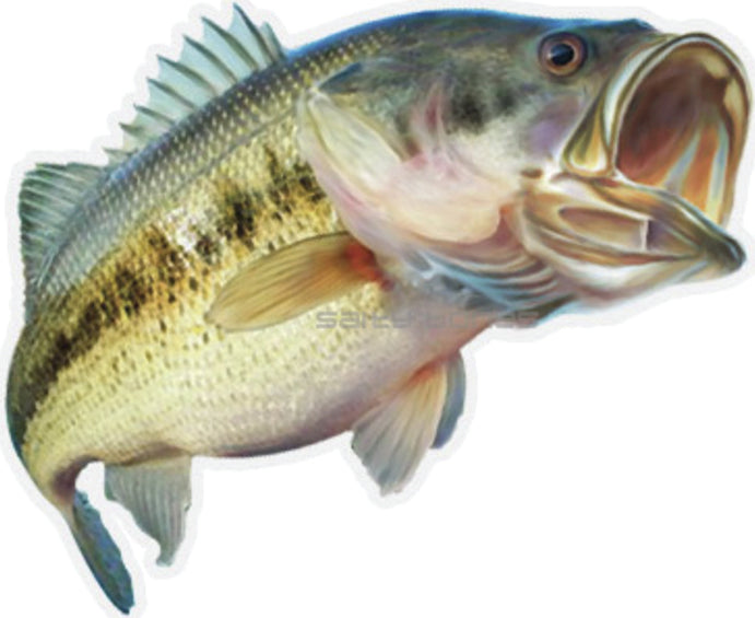 Salty Bones Mega Fish Sticker 8X11In Bass