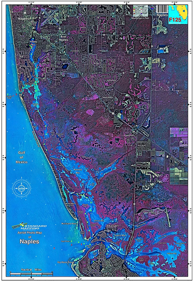 Standard Map Laminated Fishing Map Naples